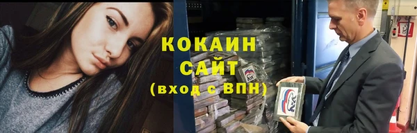 ECSTASY Алзамай