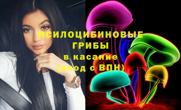 ECSTASY Алзамай