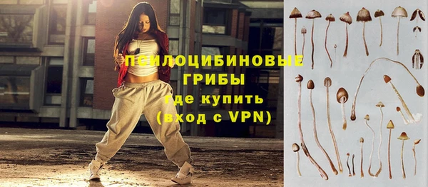 ECSTASY Алзамай