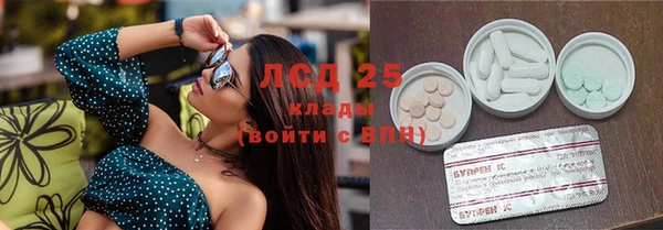 ECSTASY Алзамай