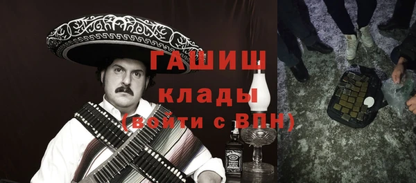 ECSTASY Алзамай