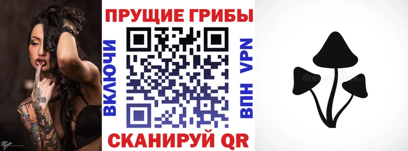 кракен ONION  Павлово  Галлюциногенные грибы прущие грибы 